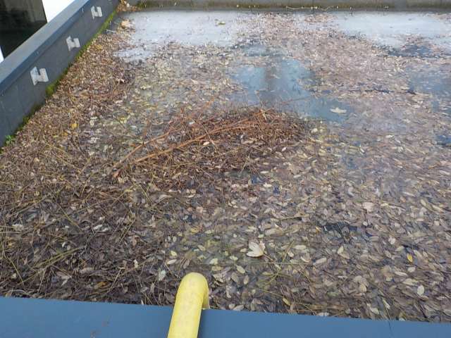 Urgence sur une toiture-terrasse en étanchéité bitume en Seine-et